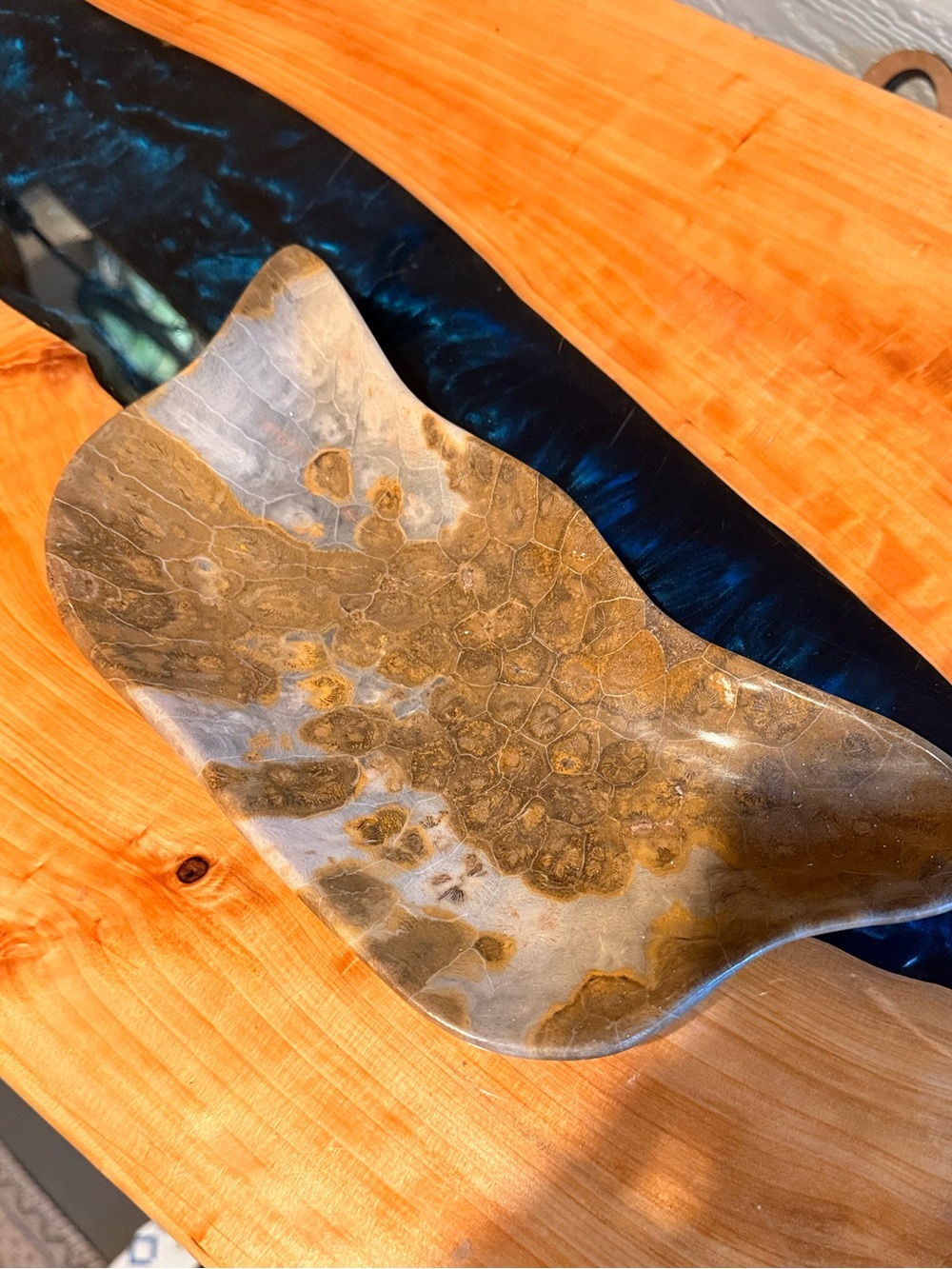 Genuine Corral Fossil Bowl